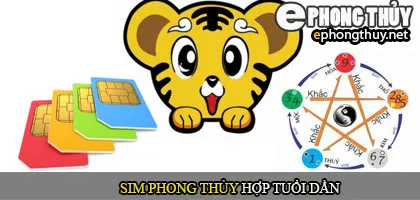 Xem sim phong thủy hợp với người tuổi Dần