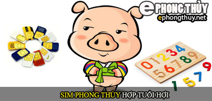 Xem sim phong thủy hợp với người tuổi Hợi