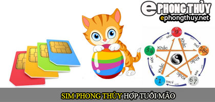 Xem sim phong thủy hợp với người tuổi Mão