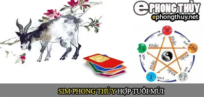 Xem sim phong thủy hợp với người tuổi Mùi