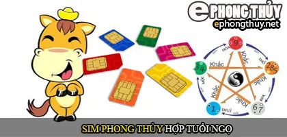 Xem sim phong thủy hợp với người tuổi Ngọ