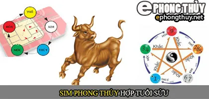 Xem sim phong thủy hợp với người tuổi Sửu