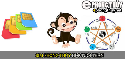 Xem sim phong thủy hợp với người tuổi Thân