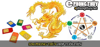 Xem sim phong thủy hợp với người tuổi Thìn