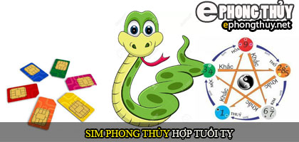 Xem sim phong thủy hợp với người tuổi Tỵ
