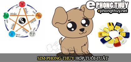 Xem sim phong thủy hợp với người tuổi Tuất