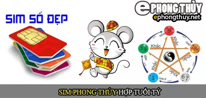 Xem sim phong thủy hợp với người tuổi Tý
