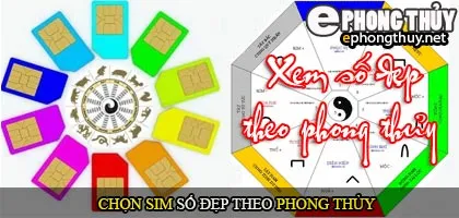 Xem sim phong thủy hợp tuổi