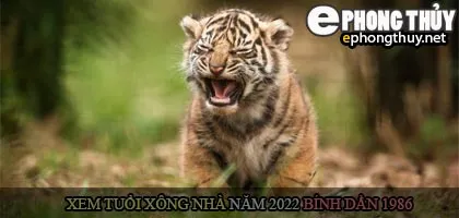 Xem tuổi xông nhà năm 2022 Nhâm Dần Theo con giáp
