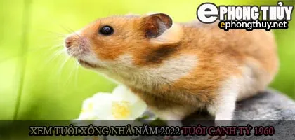 Xem tuổi xông nhà năm 2022 Nhâm Dần Theo con giáp