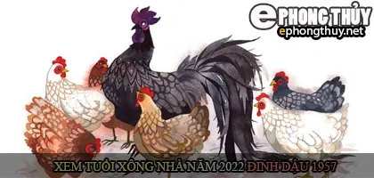 Xem tuổi xông nhà năm 2022 Nhâm Dần Theo con giáp