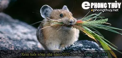 Xem tuổi xông nhà năm 2022 Nhâm Dần Theo con giáp