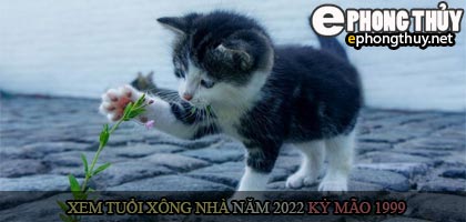 Xem tuổi xông nhà năm 2022 Nhâm Dần Theo con giáp