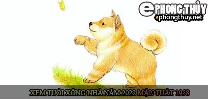 Xem tuổi xông nhà năm 2022 Nhâm Dần Theo con giáp