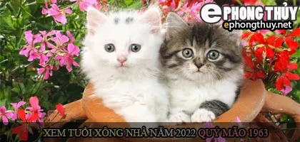 Xem tuổi xông nhà năm 2022 Nhâm Dần Theo con giáp