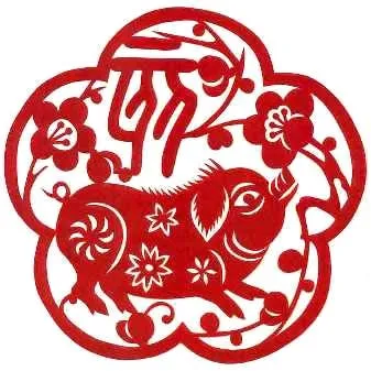 tu vi phong thuy tuoi lon