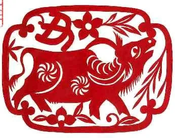 tu vi phong thuy tuoi suu