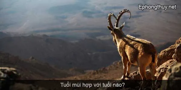 tuoi mui hop voi tuoi nao