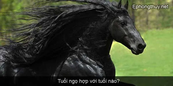 tuoi ngo hop voi tuoi nao