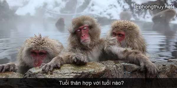 tuoi than hop voi tuoi nao