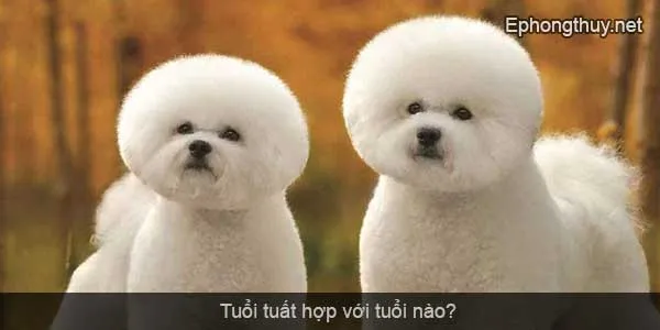 tuoi tuat hop voi tuoi nao